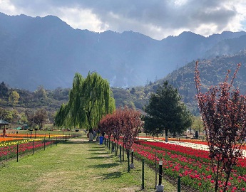 kashmir tours